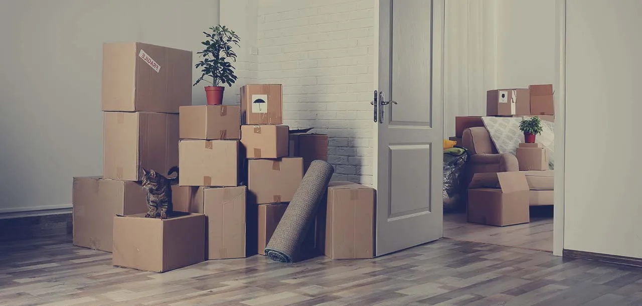 Best
							  Packers and Movers In Manjri