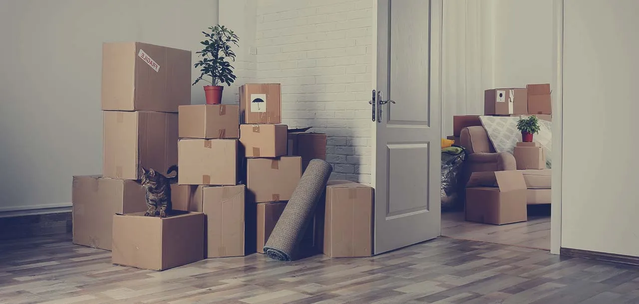 Best
							  Packers and Movers In Manjri